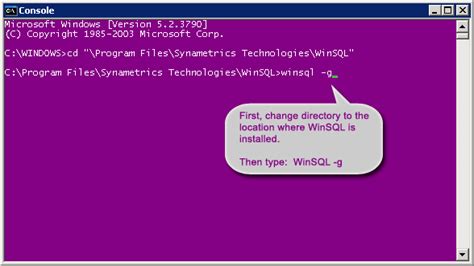 Synametrics Technologies WinSQL 18.0.288