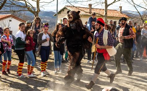 ours dans le Jura 2025